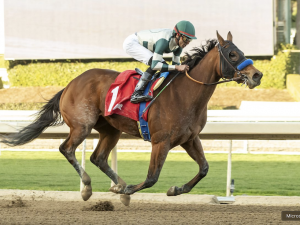 🏇 Stay ahead with US Racing. Award-winning horse racing news, Kentucky Oaks Prep Racesexpert tips, race previews, results, odds & more. 🏆 All you need for every race 🌟